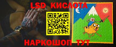 СК Кингисепп