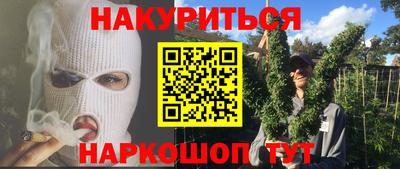 СК Кингисепп
