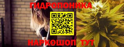 СК Кингисепп
