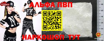 СК Кингисепп